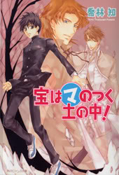 Información Novel12cover