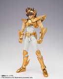  photo tamashii_pegasus_v2_ex_pog_oce_c.jpg