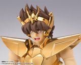  photo tamashii_pegasus_v2_ex_pog_oce_g.jpg