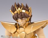  photo tamashii_pegasus_v2_ex_pog_oce_h.jpg