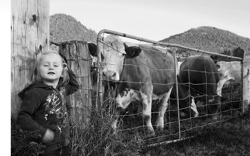  la ferme de Mamie Delphine Delphi12B