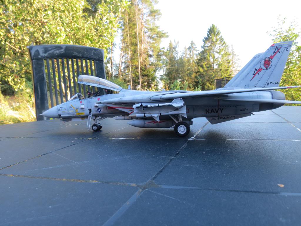 F-14B Tomcat, Hobbyboss 1:48 - Sida 3 IMG_0210