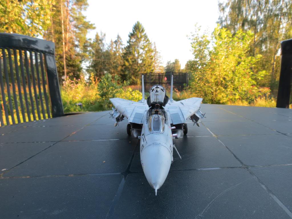 F-14B Tomcat, Hobbyboss 1:48 - Sida 3 IMG_0213