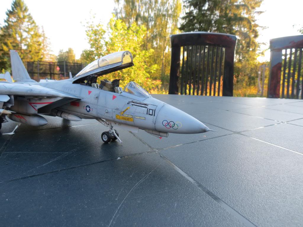 F-14B Tomcat, Hobbyboss 1:48 - Sida 3 IMG_0214