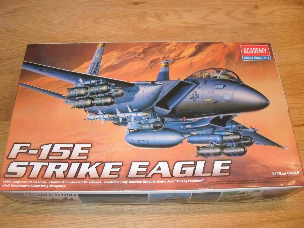 F-15E Strike Eagle (1:72) SDC11848