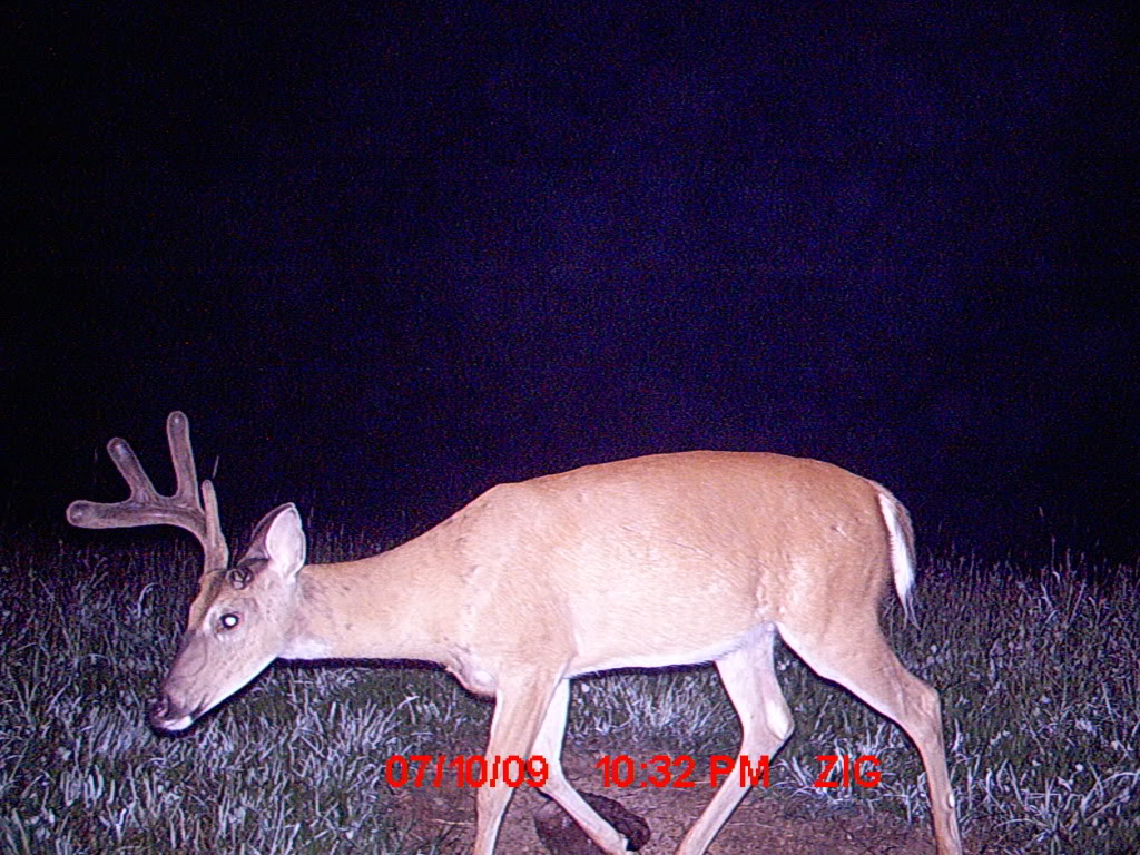 Team Ohio's Bucks are getting bigger!! MDGC1382