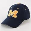 WHAT HOOD USES WHICH SPORTS LID/LOGO? Michigan