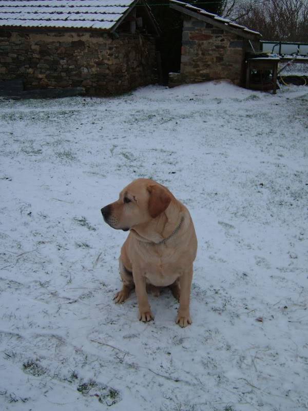 Our Christmas Cracker Teddyinsnow