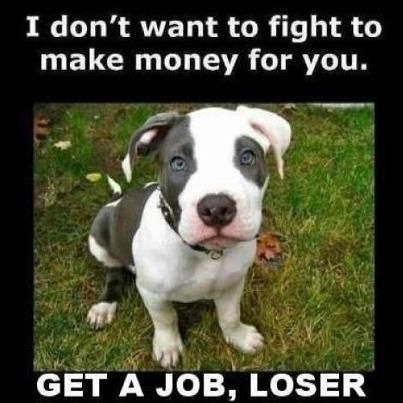 Eradicate Pit Bulls? Not Labrador Retrievers? Loser_zps38a43252