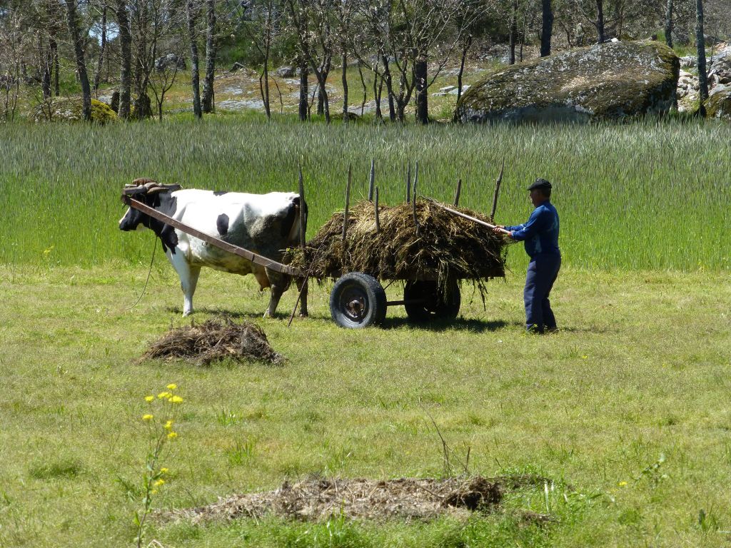 Portugal en terug  - Pagina 2 94a0724aca5db72dc7657c7248e86edd