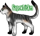 Sagestar's Creation Sagewhiskur