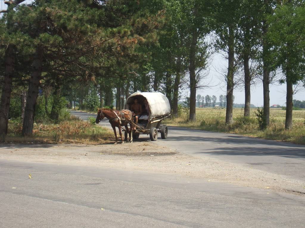 POZE HAIOASE SI COMICE FARA TRENURI - Pagina 2 DSCF0427