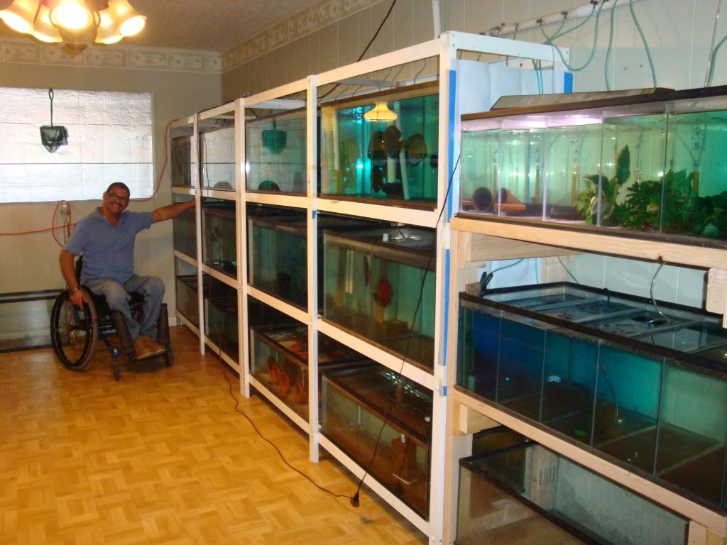 Show me your fish room! - Page 6 TASOCTB2010066