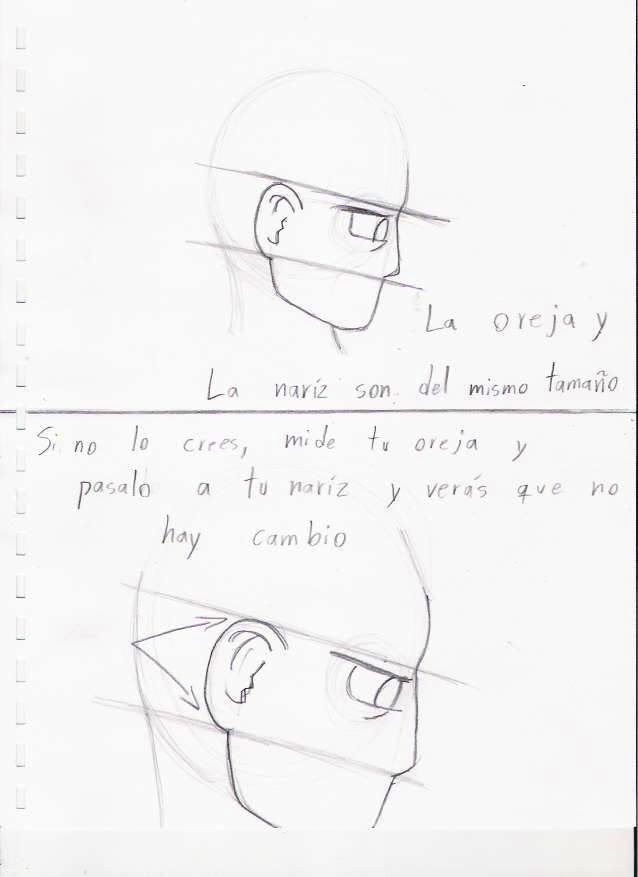 Para hacer un dibujo / Parte 3 --- Las técnicas de dibujo Dib-oreja