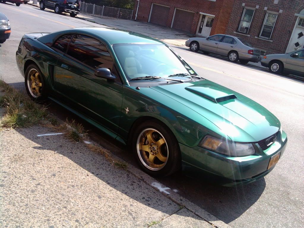 2002 v6 mustang new new new Y29udGVudDovL21lZGlhL2V4dGVybmFsL2ltYWdlcy9tZWRpYS81NzA