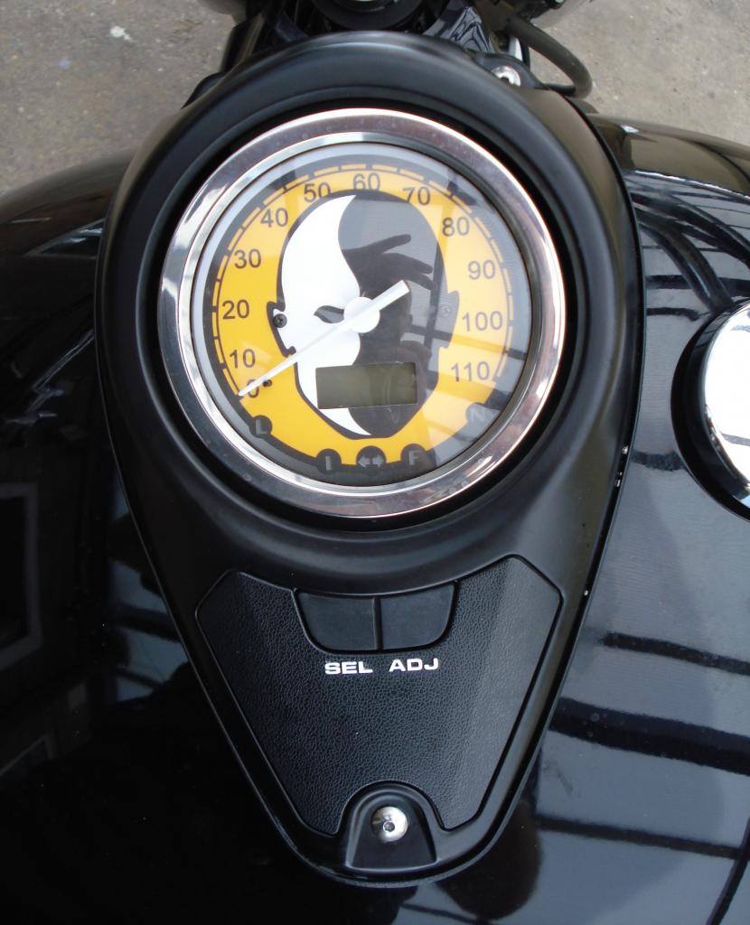 New Speedo Face DSC07939_zps67757dfe