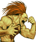 Portraits from the Realm of the Grand Phoenix Blanka