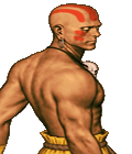 Portraits from the Realm of the Grand Phoenix Dhalsim