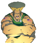 Portraits from the Realm of the Grand Phoenix Guile4