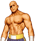 Portraits from the Realm of the Grand Phoenix Sagat