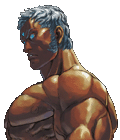 Portraits from the Realm of the Grand Phoenix Urien3