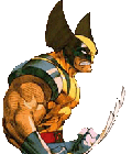 Portraits from the Realm of the Grand Phoenix Wolverine