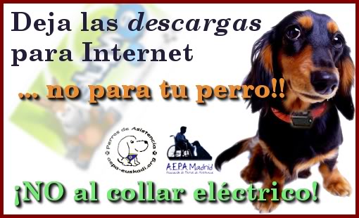 NO al collar eléctrico y de pinchos Campaacontracollarelect