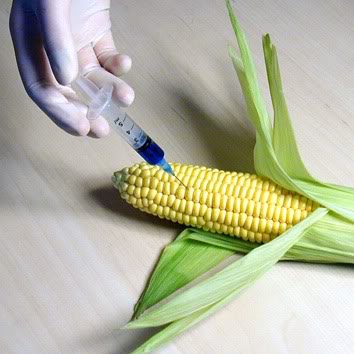 DEPOPULATION VIA LES OGM, LES PESTICIDES, LA DEFORESTATION ET LA POLLUTION DE NOTRE NOURRITURE ET DE NOS EAUX GMO-VACCINE-CORN