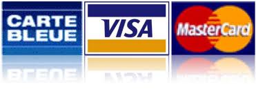 2012 : PUCES IMPLANTABLES, RFID, NANOTECHNOLOGIES, NEUROSCIENCES, N.B.I.C., TRANSHUMANISME  ET CYBERNETIQUE ! - Page 2 Visa-Mastercard-cartebleue
