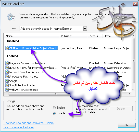    RealPlayer 11      ARABIC-L2