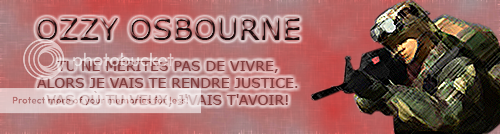 Galerie KW33N BannerGunner1copie