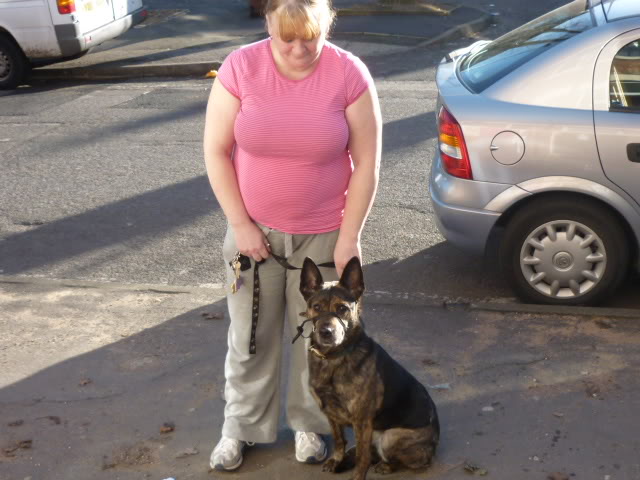 9 year old GSD Cross, Nottingham P1020307