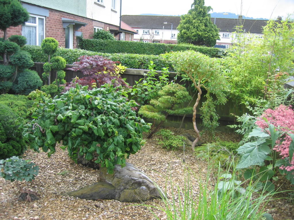 Garden trees 0073