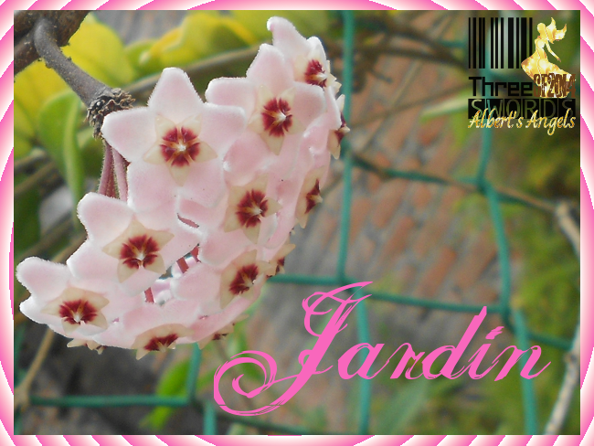 Jardín: Colección de Frases & Pensamientos [Albert] Jardin20_zpsa254f36a