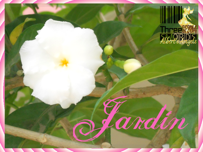 Jardín: Colección de Frases & Pensamientos [Albert] Jardin8_zps71b00bac