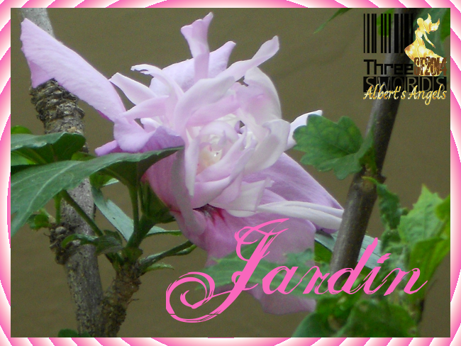 Jardín: Colección de Frases & Pensamientos [Albert] Jardin9_zps3dc83deb