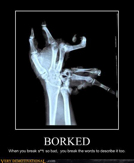 Funny Pictures and Jokes!  Demotivational-posters-borked