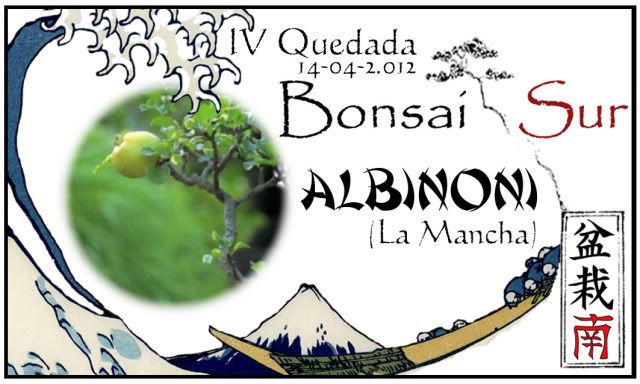 INSCRIPCIÓN Y PROGRAMA IV QUEDADA DE BONSAISUR - Página 3 ALBINONI