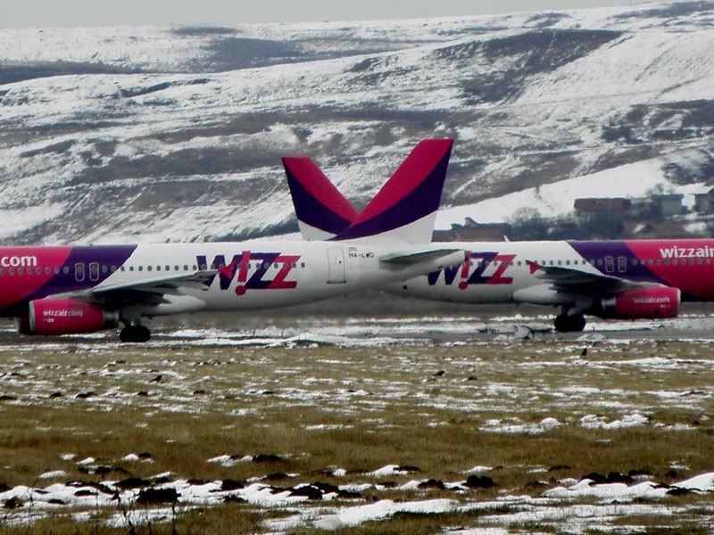 Aeroportul Cluj Napoca - Martie 2011   3030027