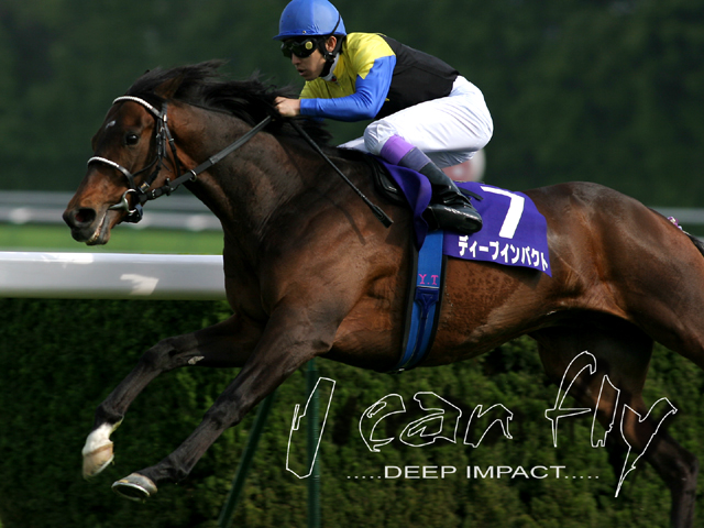 Sunday Silence Impact23n