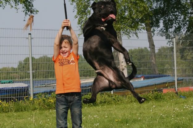 Jump! Muiderslot26032011298