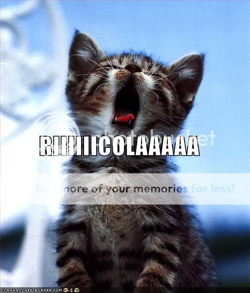 *ehem* Funny-pictures-ricola-cat