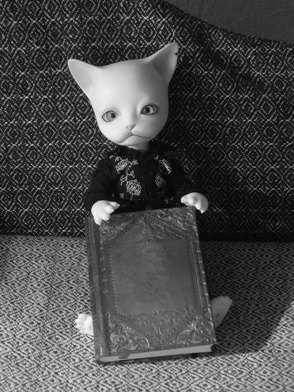 Les BJD de chaton : nouveau venu en P5 et sa petite story ^^ - Page 2 DSCN0172NBw