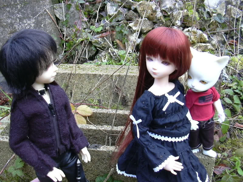 Les BJD de chaton : nouveau venu en P5 et sa petite story ^^ DSCN0192