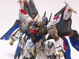 [093] ZGMF-X20A Strike Freedom Gundam Th_100_1263