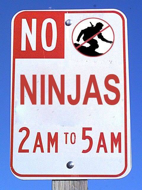 No Ninjas... No-ninjas