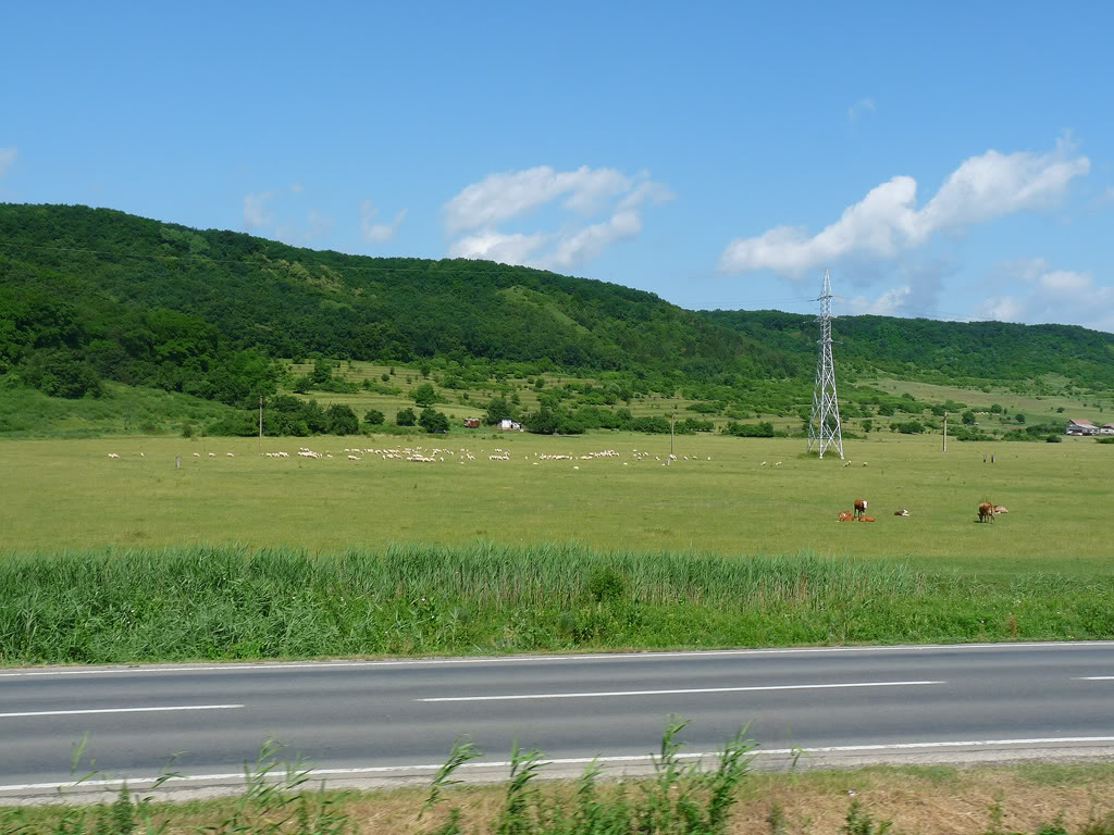 Excursie Cluj - Simeria - Bucuresti P1070171