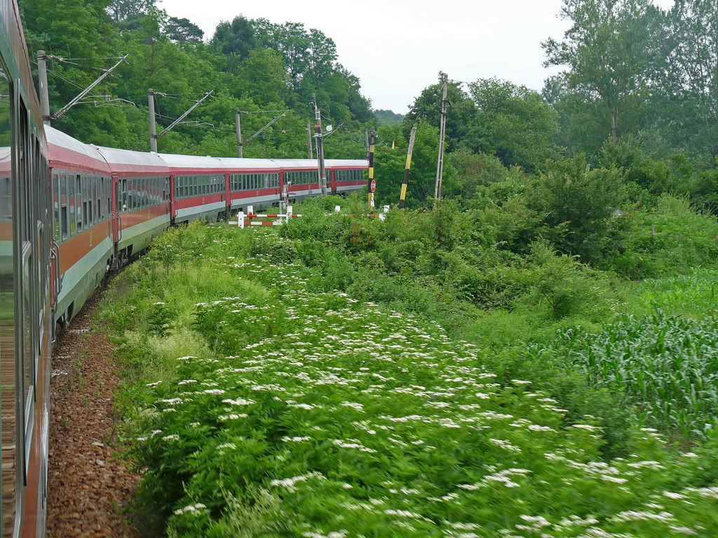 Excursie Cluj - Simeria - Bucuresti - Pagina 2 P1070373