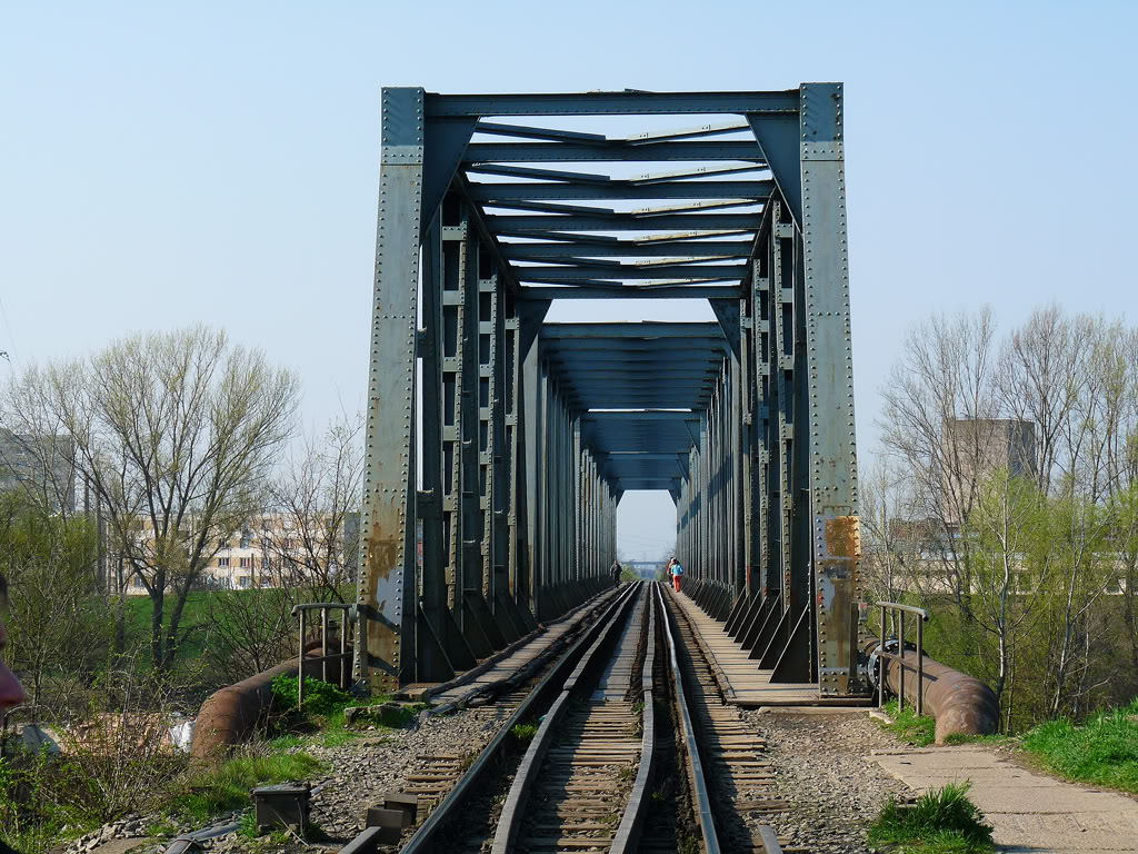 402 : Oradea - Carei - Satu Mare - Halmeu P1060027