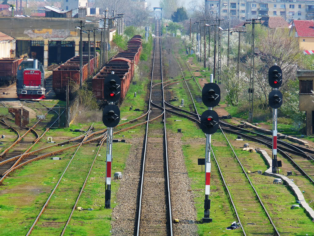 402 : Oradea - Carei - Satu Mare - Halmeu P1060033